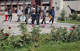 Bayburt Üniversitesi, ‘en yeşil’ üniversiteler...