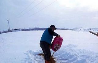 Bayburt’ta yaban hayvanları unutulmadı