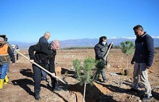 Bayrampaşa’daki her öğretmen için bir ağaç