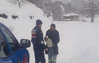 Bebeğinin maması biten kadının yardımına jandarma...