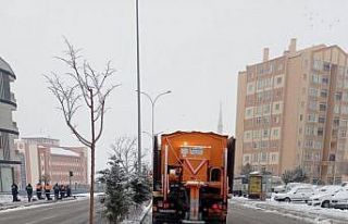 Belediye Başkanı Mehmet Savran "Karla mücadele...