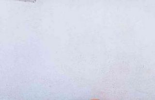 Belediye sokak hayvanlarını unutmadı