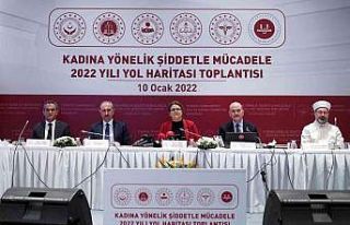 Beş bakanlıktan kadına yönelik şiddetle mücadele...