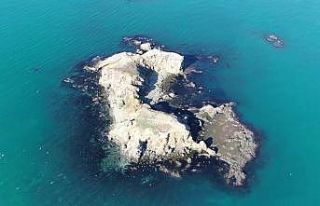 Beykoz’un gizemli adası görenleri kendisine hayran...