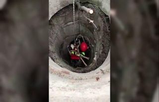 Beylikdüzü’nde itfaiye ekiplerinden keçi kurtarma...
