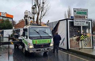 Beyoğlu’nda budanan ağaç dalları vatandaşlara...