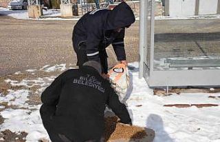 Bilecik Belediyesi’nden sokak hayvanları için...