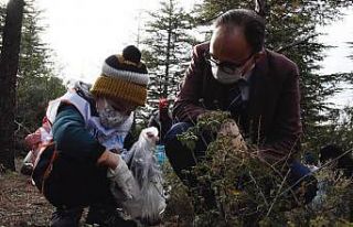 Bilecik Kent Ormanı’nda yüzlerce poşet çöp...