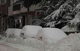 Bingöl’de 281 köy yolu ulaşıma kapandı