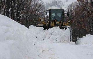 Bingöl’de kar nedeniyle 71 köy yolu ulaşıma...