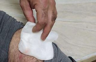 Bingöl’de köpek sürüsü, evine giden adama saldırdı