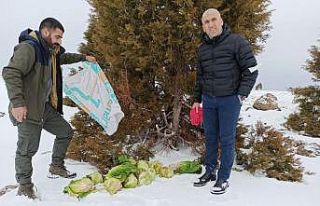 Bingöl’de yaban hayvanları için doğaya yem bırakıldı