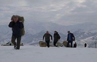 Bingöl’de yaban hayvanları için karla kaplı...