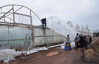 Bir saat arayla çıkan 2 hortum seralara zarar verdi