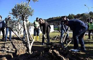 Bitkilendirme çalışmaları başladı