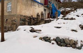 Bitlis merkezli terör operasyonunda 8 kişi gözaltına...