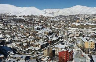 Bitlis’te 119 köy yolu ulaşıma kapalı
