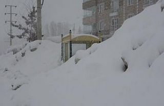 Bitlis’te 147 köy yolu ulaşıma kapandı