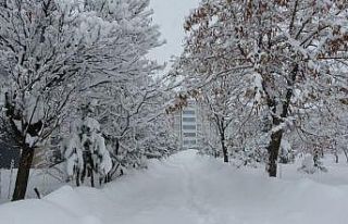 Bitlis’te 203 köy yolu ulaşıma kapandı