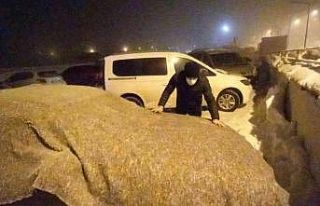 Bitlis’te hayat dondu