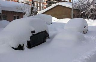 Bitlis’te kapanan 282 köy yolundan 98’i açıldı