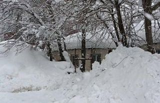 Bitlis’te kar esareti devam ediyor