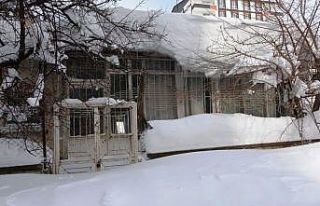 Bitlis’te tek katlı evler ve yön levhaları kardan...