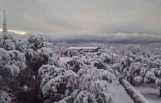 Bodrum da beyaza büründü