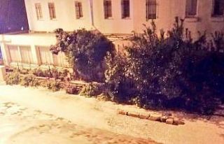 Bodrum’u dolu vurdu; evleri, iş yerlerini su bastı