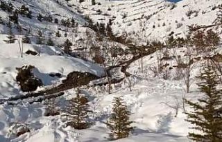 Boğarak öldürdüğü eşini boş araziye gömdü...