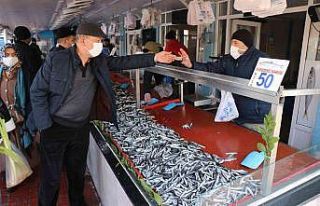 Bolu’da hamsi fiyatları 50 liraya kadar çıktı