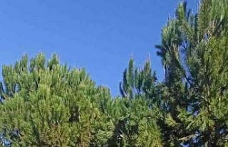 Bozyazı polisi KADES’i ve dolandırıcılık konusunda...