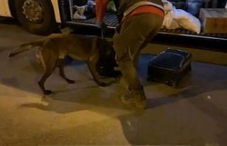 "Brego" uyuşturucuya geçit vermedi