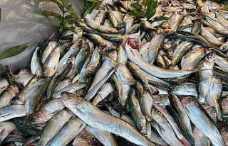 Bu balık pek bilinmiyor ama mangalları söndürüyor