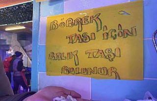 Bu taş böbrek taşını düşürüyor