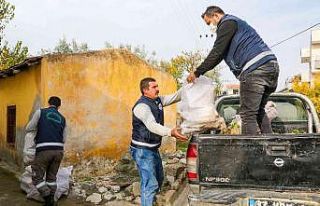 Budanan dallar yuvaları ısıtıyor