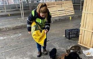 Buharkent’te can dostları unutulmadı