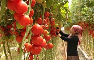 Burdur’da yayla seracılığında Türkiye birinciliği...