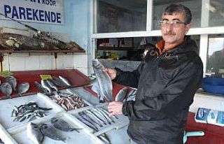 Burhaniye’de balıklar kooperatifle değerlendi