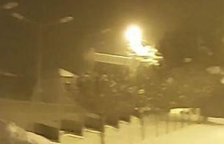 Bursa’da aç kalan tilkiler yemek aramak için şehir...