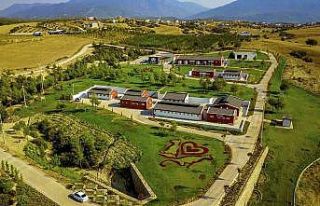 Büyükşehir 3 yılda 50 bin 576 sokak hayvanını...