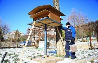 Büyükşehir, sokak hayvanlarını unutmadı