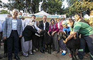 Büyükşehir tarım ve hayvancılıkta üreticinin...