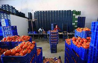 Büyükşehir, toptancı hal esnafına ‘kefil’...