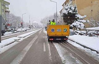 Büyükşehir ulaştırmakta ’kar’arlı