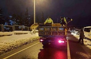 Buzlanmaya karşı tuz ve solüsyon
