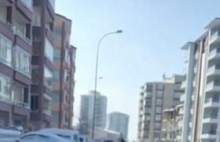 Caddede koşan yavru ceylan görenleri şaşırttı