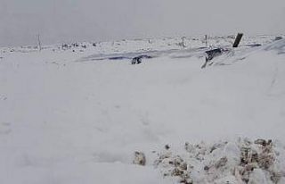 Çadırlar ve çatılar çöktü hayvanlar telef oldu