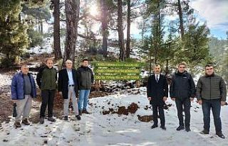 Çameli’de ekoturizm yürüyüş yolu hayat buluyor