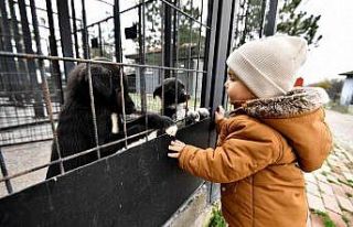 Can dostlara hem şifa, hem sıcak yuva
